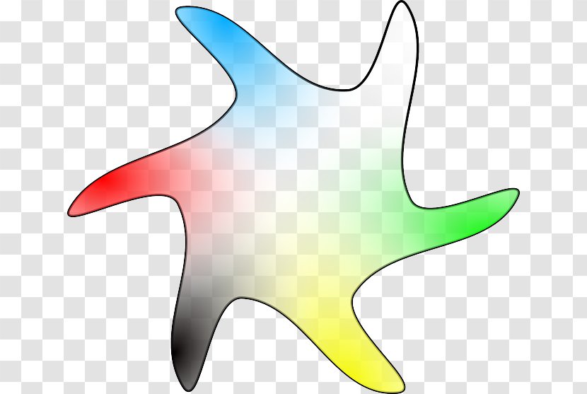 Clip Art - Echinoderm - Geomatric Transparent PNG