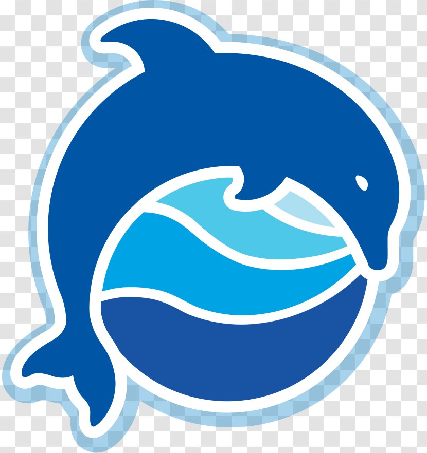 Gulf World Panama City Destin Park Beach - Florida - Dolphin Show Transparent PNG