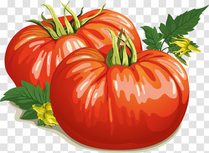 Tomato Soup Vector Graphics Vegetable Food Cherry - Canning Tomatoes Transparent PNG