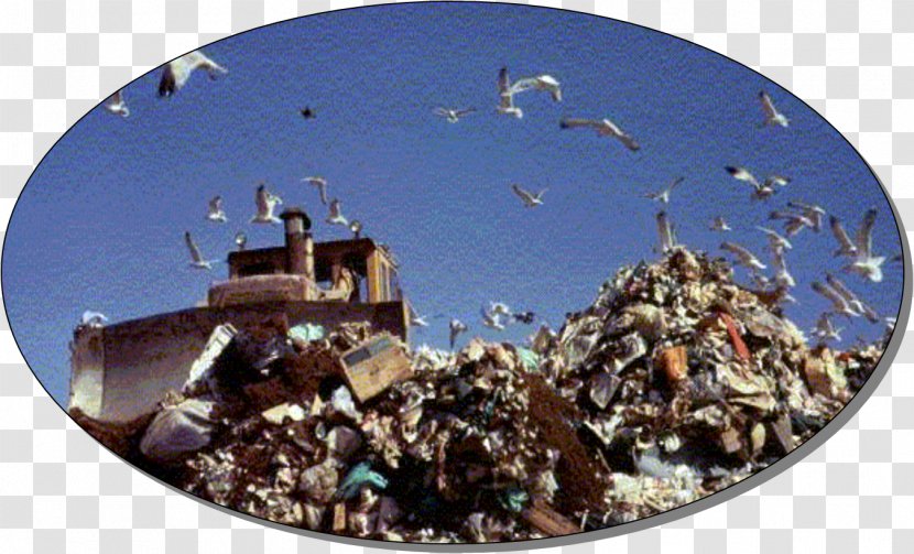 Waste Management Natural Environment Landfill Hazardous - Stock Photography Transparent PNG