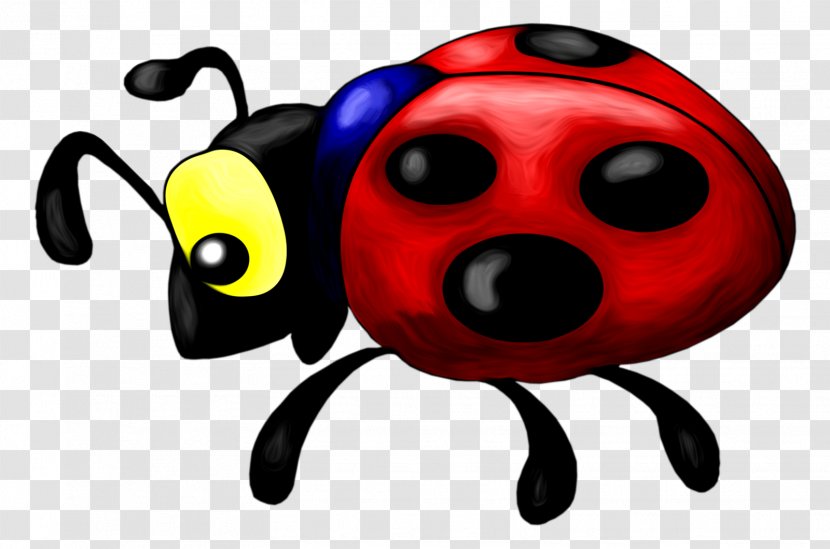 Ladybird Beetle Coccinella Septempunctata Child Invertebrate - Ladybug Transparent PNG