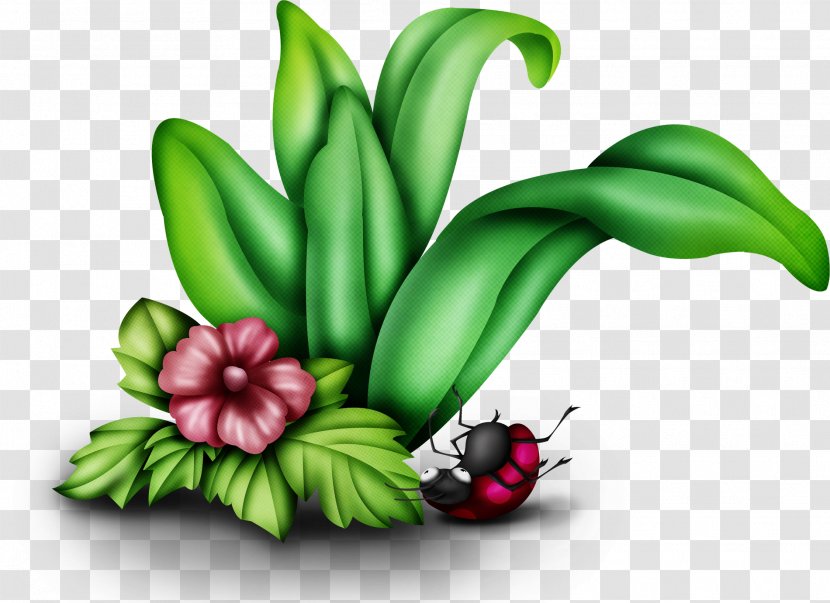 Cartoon - Flower - Ladybug Mosaic Transparent PNG