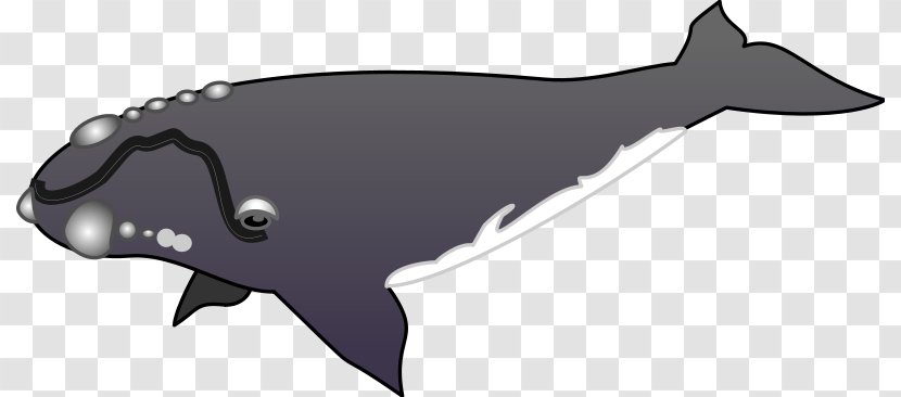 Dolphin Cetacea Porpoise Clip Art - Whale Tail Transparent PNG