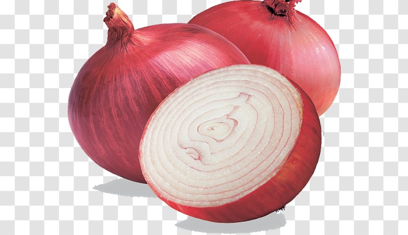 Onion Cartoon - White - Amaryllis Family Pink Transparent PNG