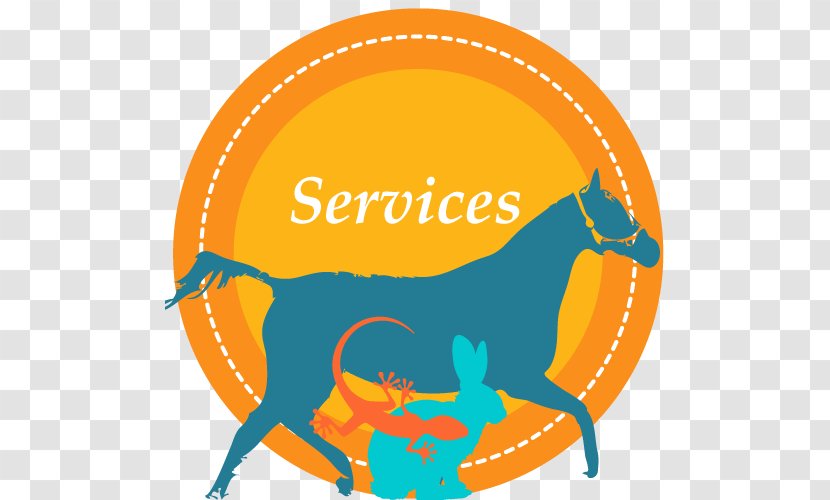 Lawrence County Animal Hospital Lawrenceville Veterinarian Horse Clip Art - Like Mammal Transparent PNG