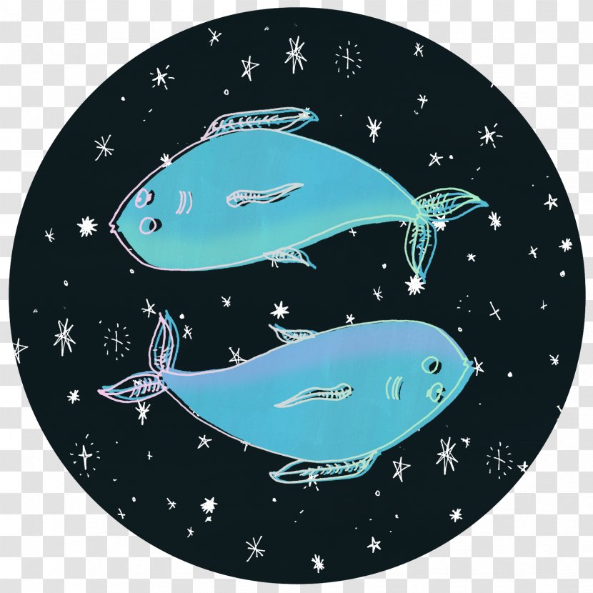 Dolphin Marine Biology Turquoise Space Transparent PNG