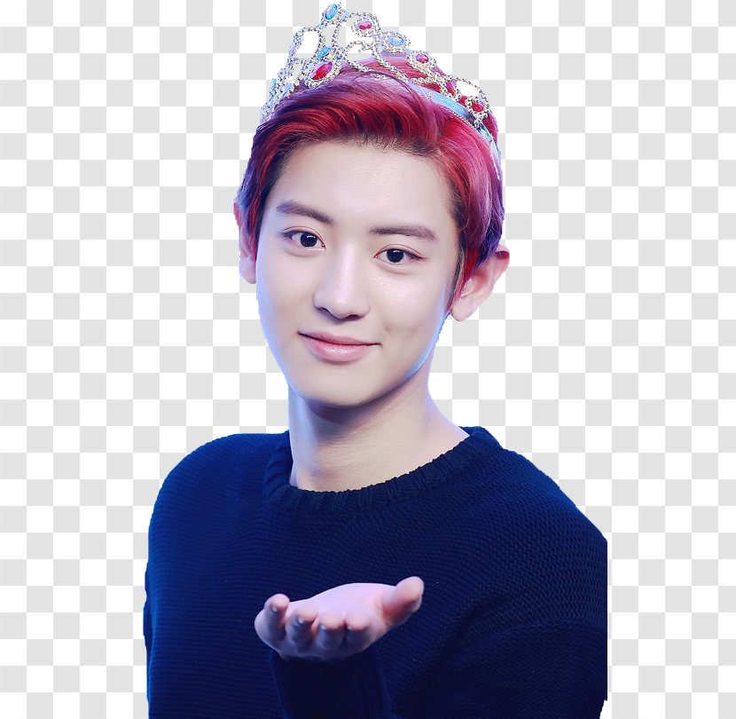 Chanyeol EXO So I Married An Anti-fan K-pop Wolf Transparent PNG