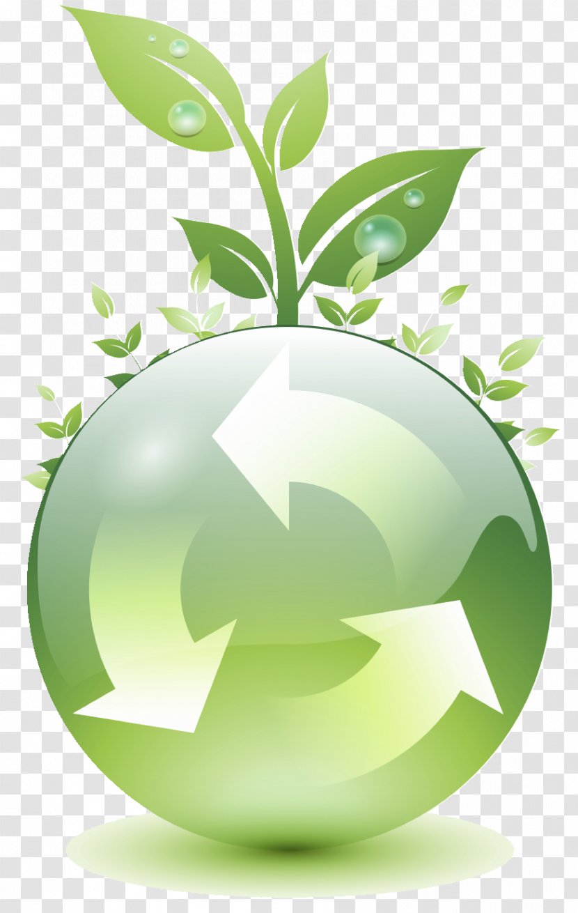 Natural Environment Global Warming Climate Change Sustainability Health - Tree Transparent PNG
