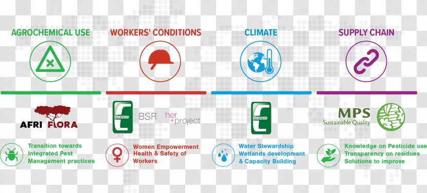 Supply Chain Sustainability Management Business Transparent PNG