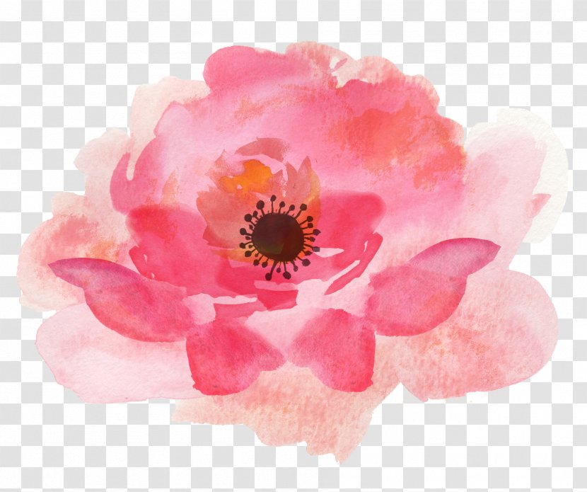 Watercolour Flowers Watercolor Painting Floral Design Clip Art - Rose Family - Flower Transparent PNG