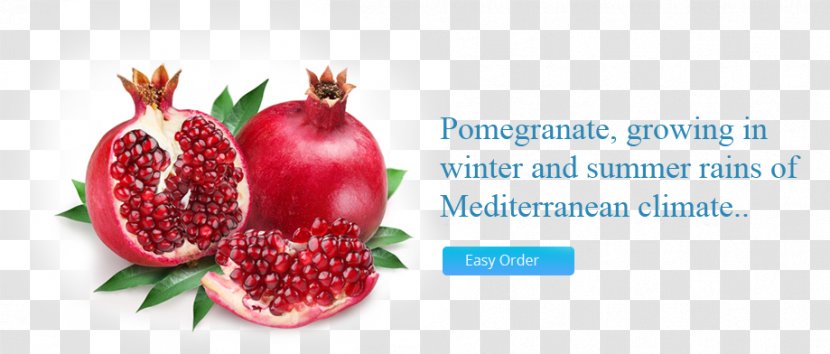 Pomegranate Juice Fruit Salad - Frutti Di Bosco - Fresh Transparent PNG