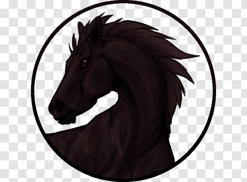 Drawing Horse Sungrace Pegasus Pony Mane - Neck Transparent PNG