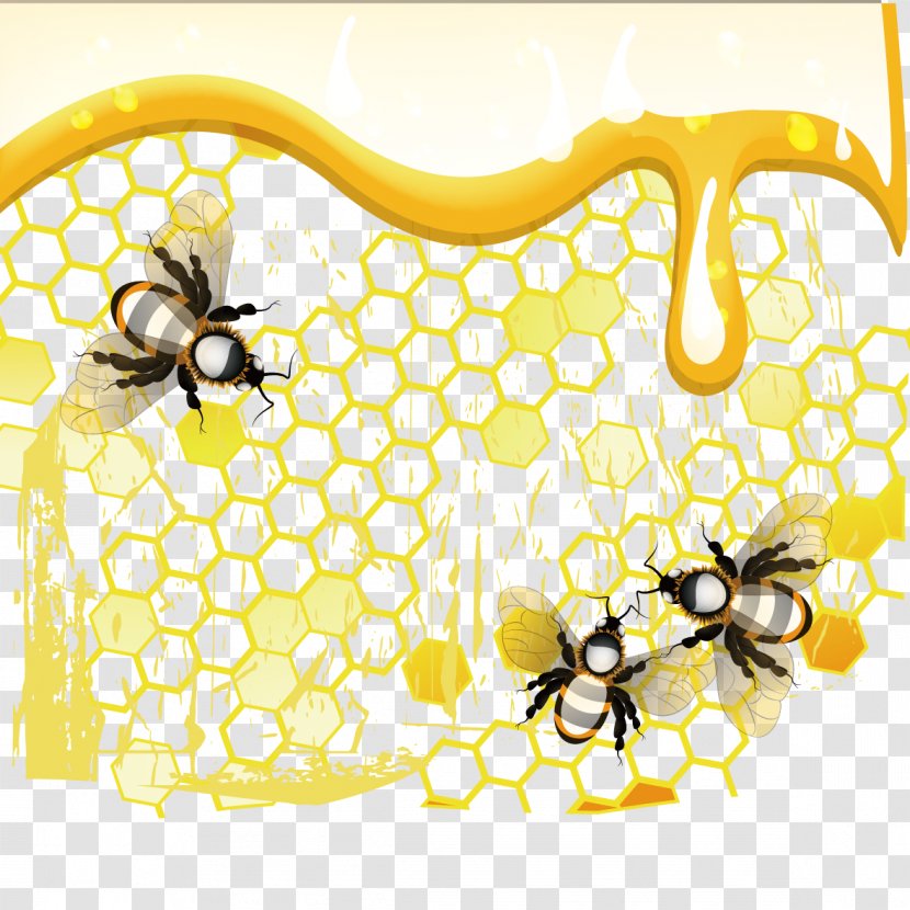 Honey Bee Honeycomb - Yellow - And Transparent PNG