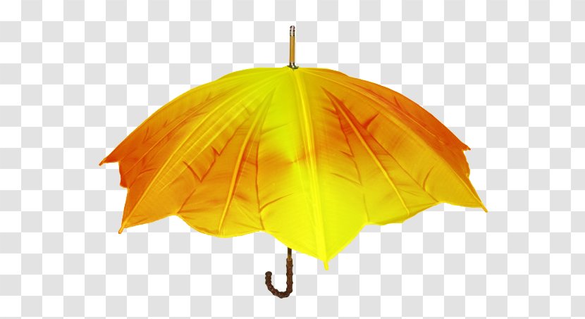 Umbrellas & Parasols Design Antuca Clothing - Orange - Nouveau Recueil De Cantiques Transparent PNG