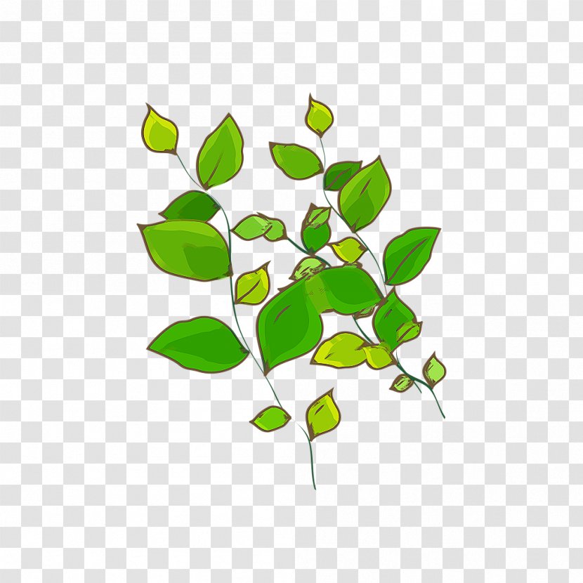 Green Leaf Plant Computer File - Branch - Leaves Transparent PNG