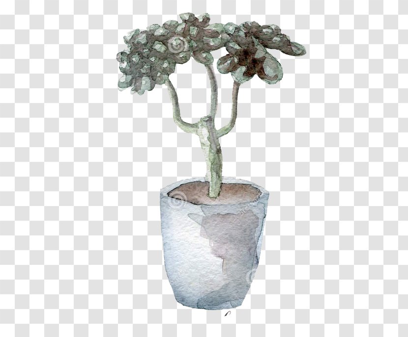 Cactaceae Watercolor Painting Succulent Plant Illustration - Houseplant - Gray Cactus Transparent PNG