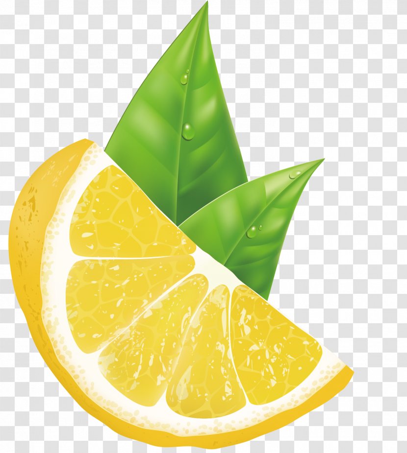 Lemon-lime Drink Citric Acid - Fruit - The Lemon Is Beautifully Decorated And Patterned Transparent PNG