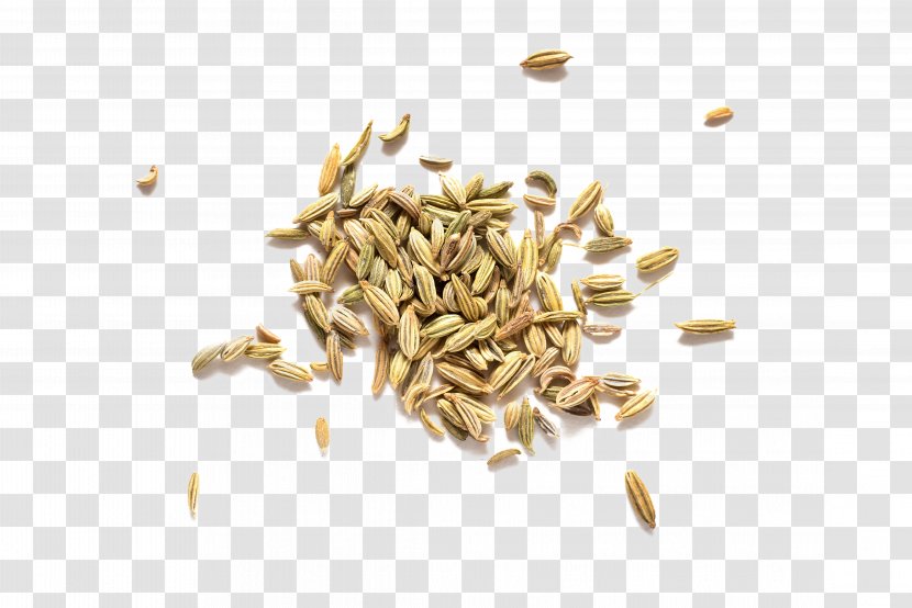 Fennel Spice Krosby AS Herb Dill - Plant - Cumin Transparent PNG