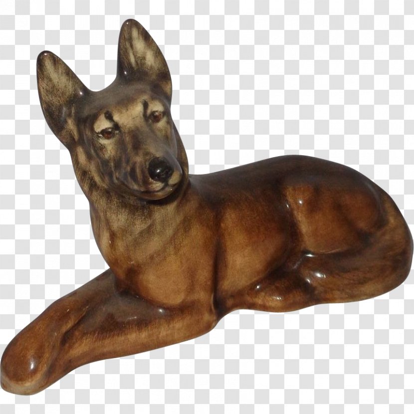 German Shepherd Malinois Dog Breed Porcelain - Razas Nativas Vulnerables Transparent PNG