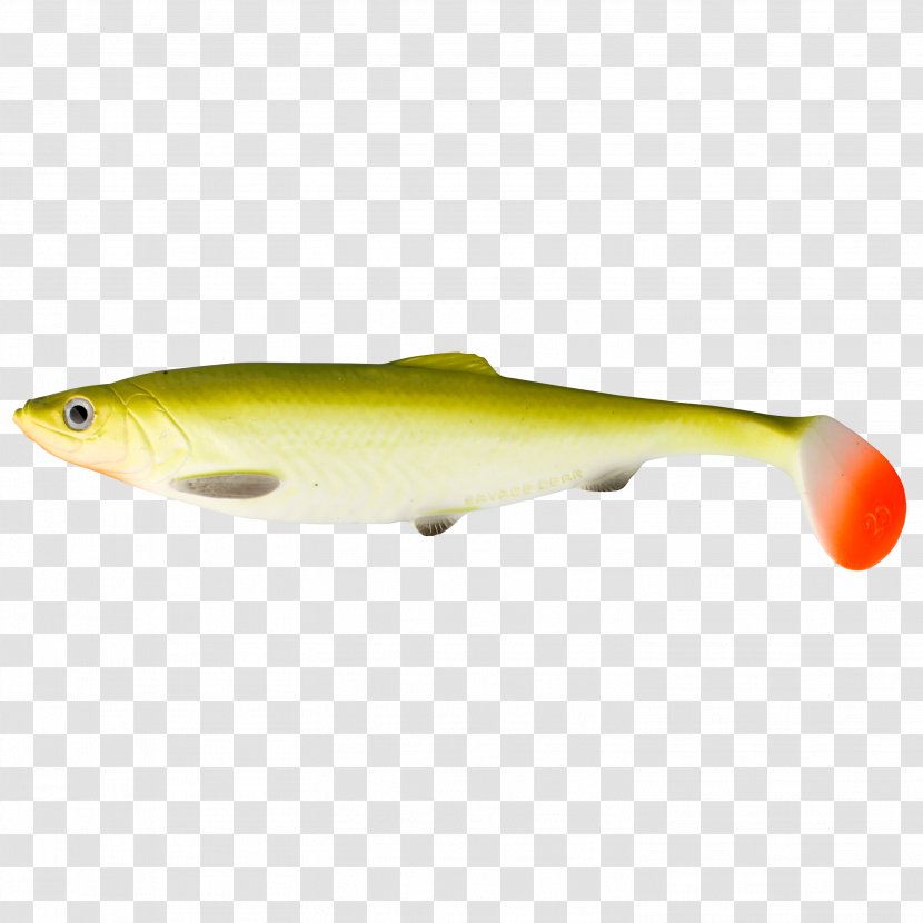Glasgow Angling Centre Perch Spoon Lure Herring - American Shad Transparent PNG