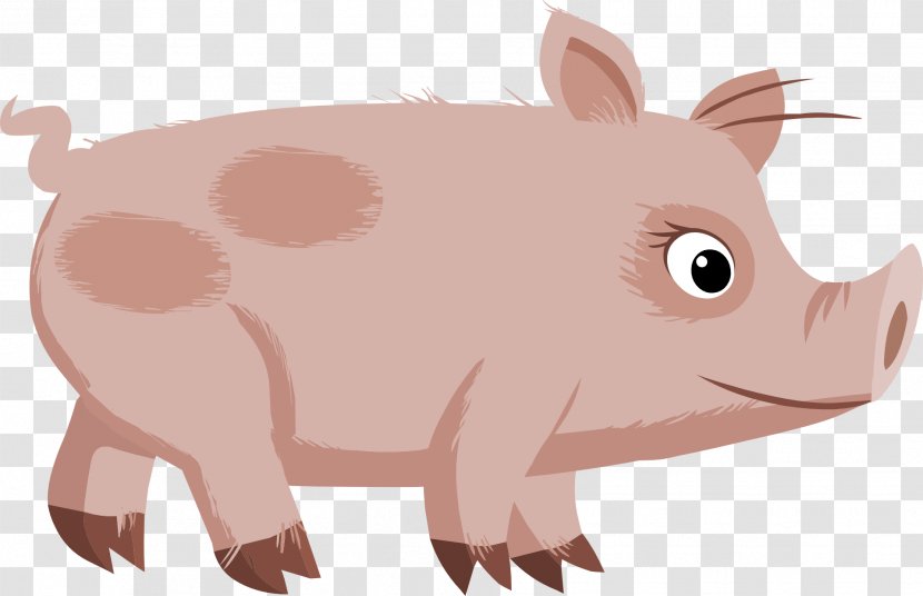 Domestic Pig Clip Art - Fauna - Piggy Bank Transparent PNG