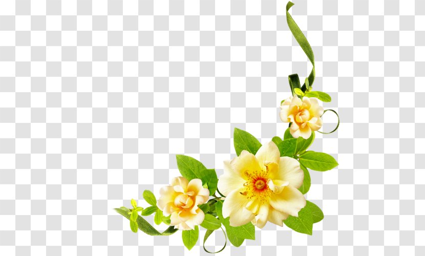Floral Design Flower - Template Transparent PNG