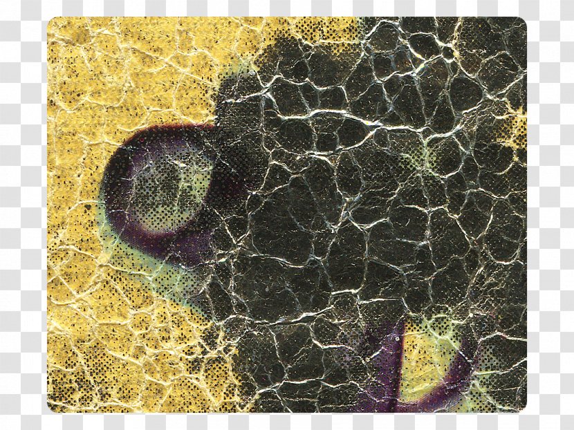 Leaf - Fauna - Silk Material Transparent PNG
