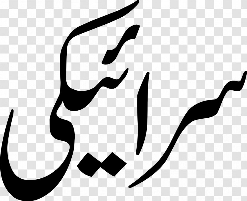 Saraiki Urdu Alphabet Punjabi Language Translation - Hindustani Transparent PNG