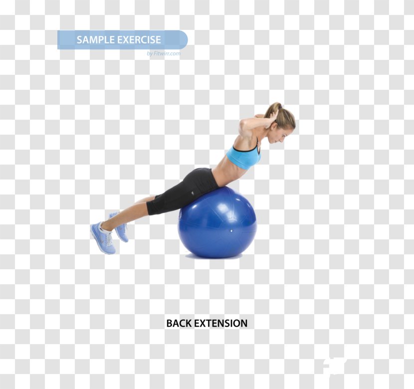 Exercise Balls Pilates Abdominal Core - Equipment - Fitness Posters Transparent PNG