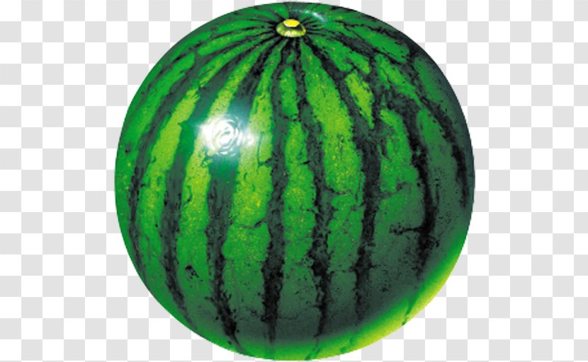 Fruit 5 Watermelon Pixel Dungeon - Android - Melon Transparent PNG