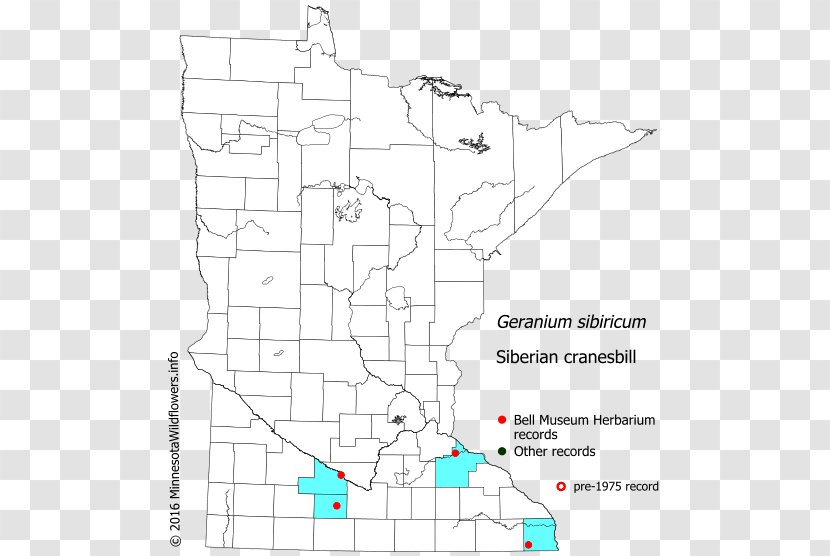 Minnesota Drawing Land Lot Point - Plan - Siberian Crane Transparent PNG