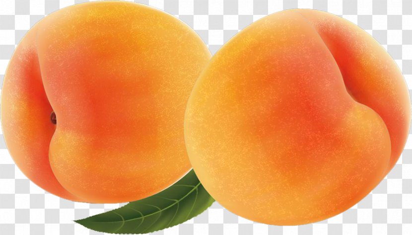 Apricot Food Fruit Transparent PNG