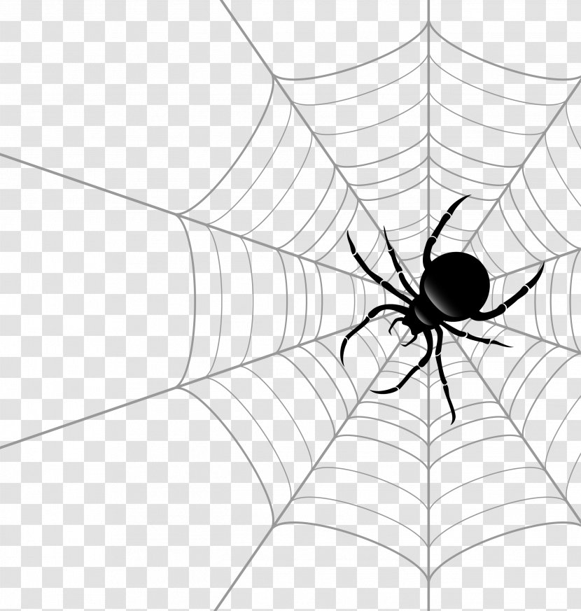 Spider Web Theridiidae Euclidean Vector - Black And White Transparent PNG