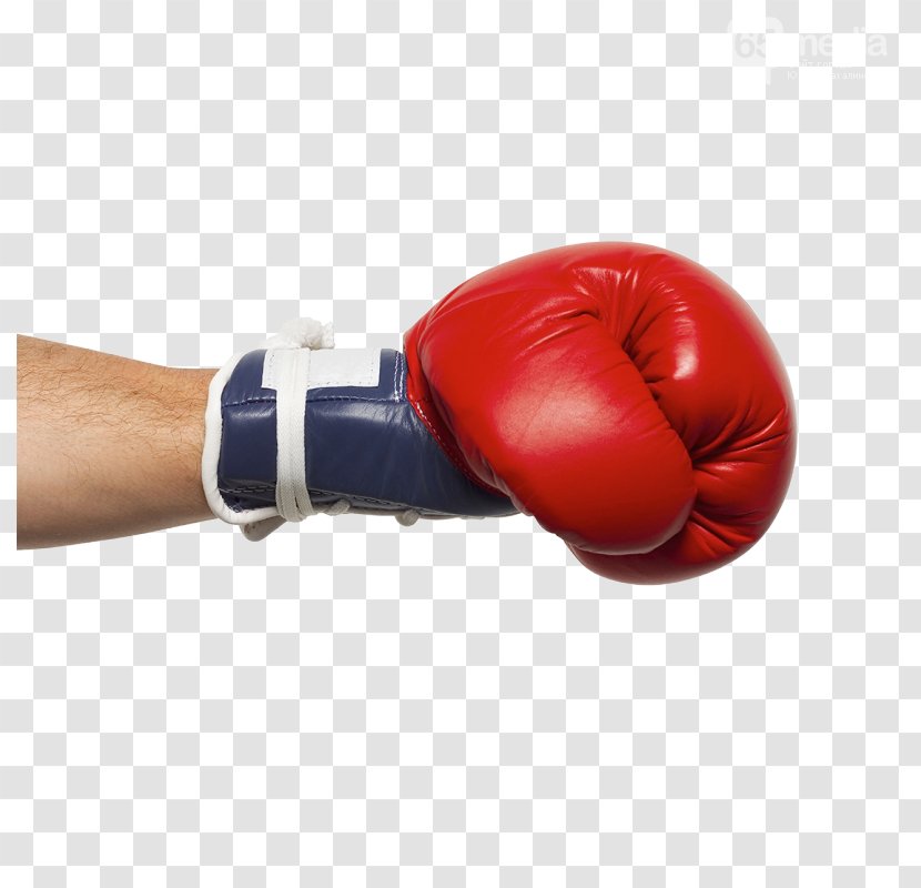 Boxing Glove Sport Fist - Equipment Transparent PNG