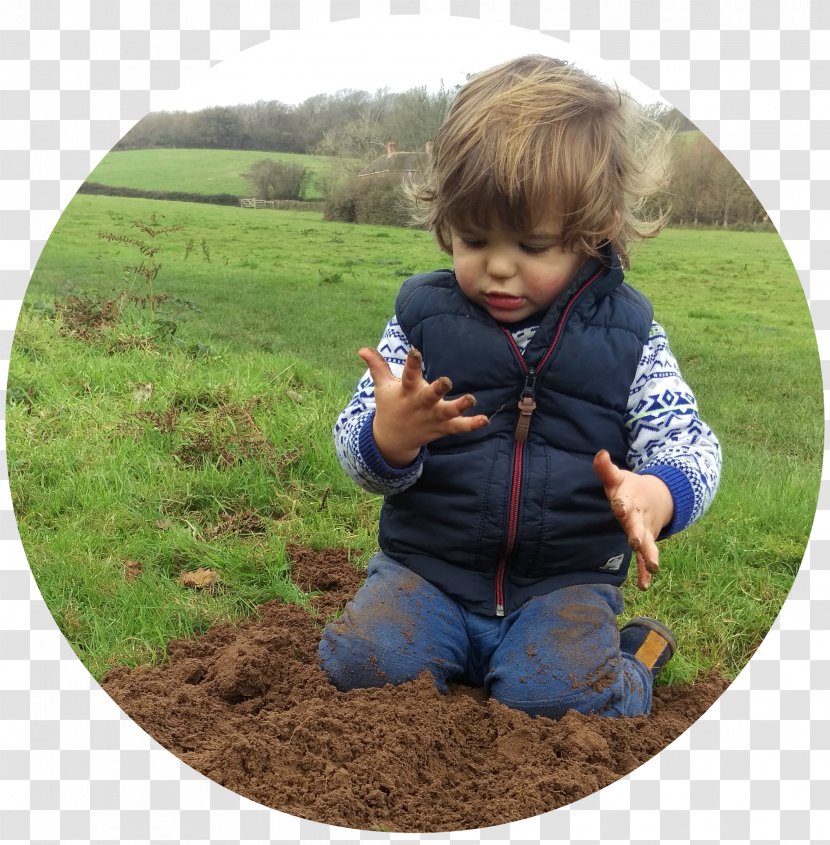 Toddler Soil Tree - Grass Transparent PNG