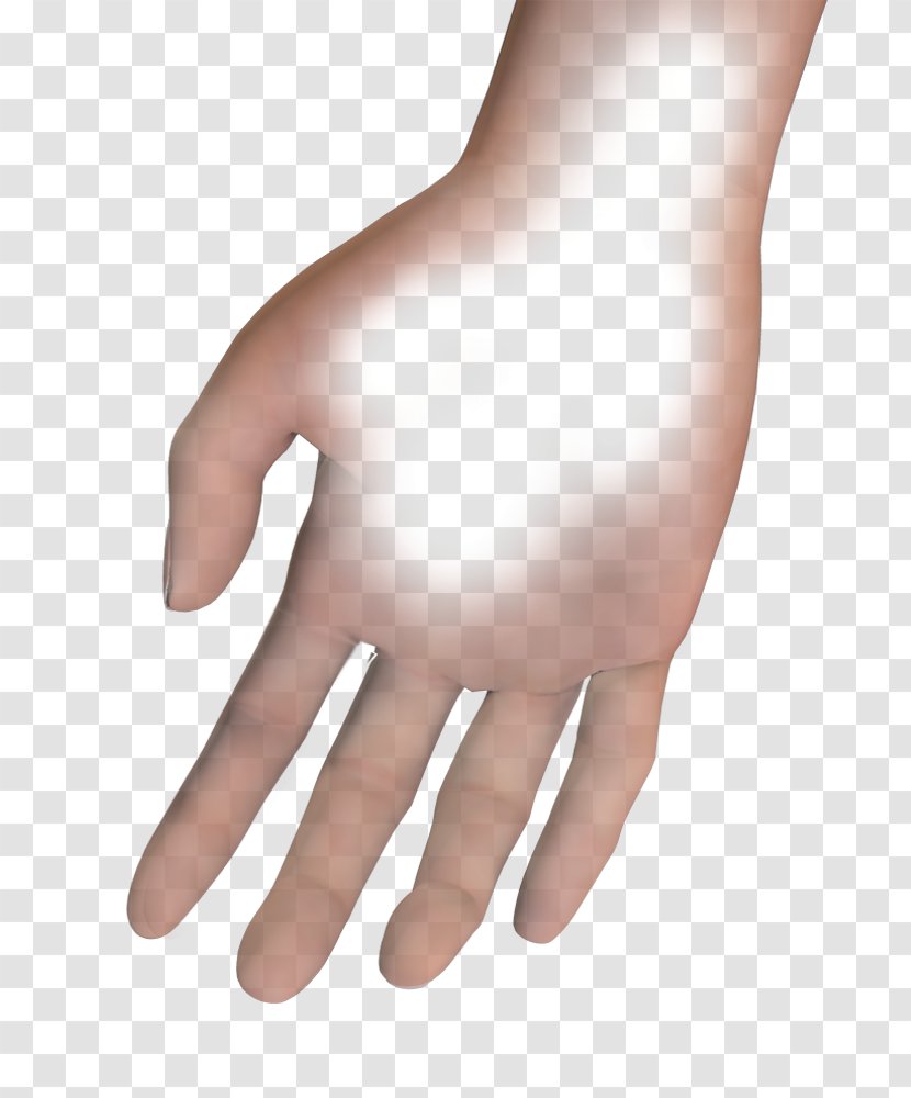 Thumb Hand Model Prosthesis Bionics - Muscle Transparent PNG