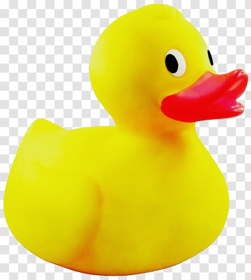 Rubber Ducky Bath Toy Duck Yellow - Waterfowl - Beak Transparent PNG