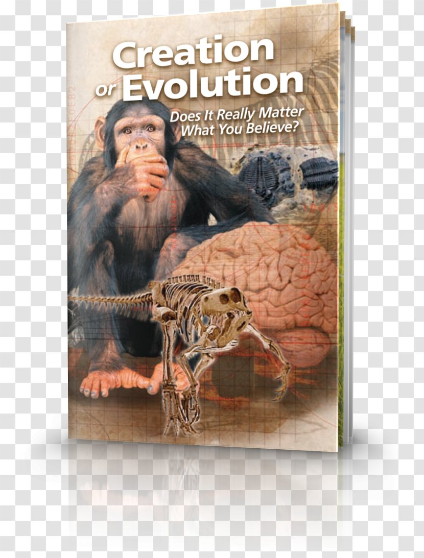 Creation Or Evolution: Does It Really Matter What You Believe Charles Darwin Creation–evolution Controversy Science - Flower - Adam Eve Transparent PNG