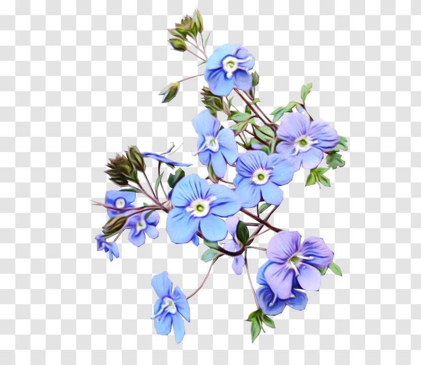 Floral Design Cut Flowers Blue Plants - Colorado Columbine - Bell Creameries Transparent PNG