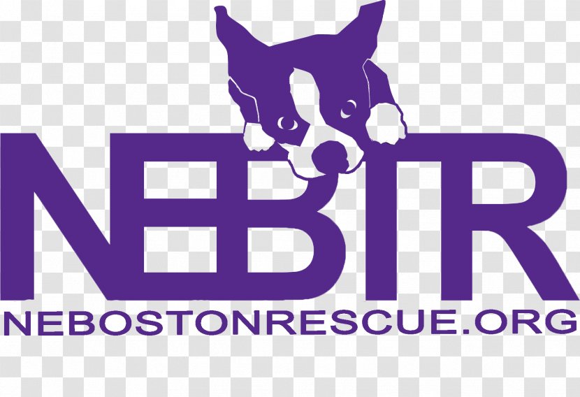 Boston Terrier Cat Pet T-shirt - Adoption Transparent PNG