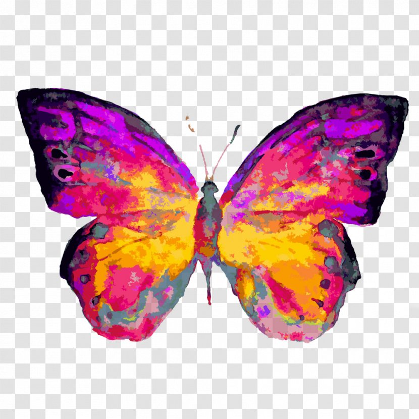 Lupus Foundation Of Southern Arizona Living With Systemic Erythematosus America Tucson - Magenta - Color Illustration Butterfly Transparent PNG