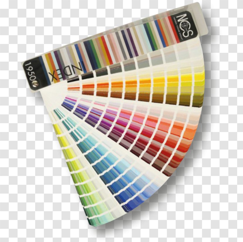 Natural Color System Tints And Shades RAL Colour Standard Paint - Ral Transparent PNG