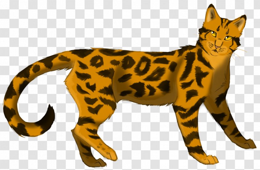 Whiskers Cat Warriors: The Prophecies Begin Leopardstar - Ocelot Transparent PNG