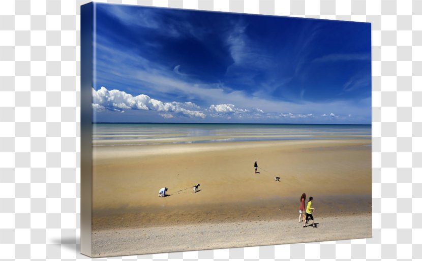 Shore Sea Gallery Wrap Picture Frames Art - Sky Plc Transparent PNG