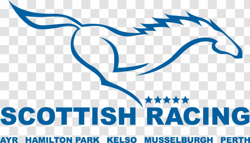 Perth Racecourse Organization Hamilton Park Микрозаём 2018 Grand National - Brand - Edinburgh East And Musselburgh Transparent PNG