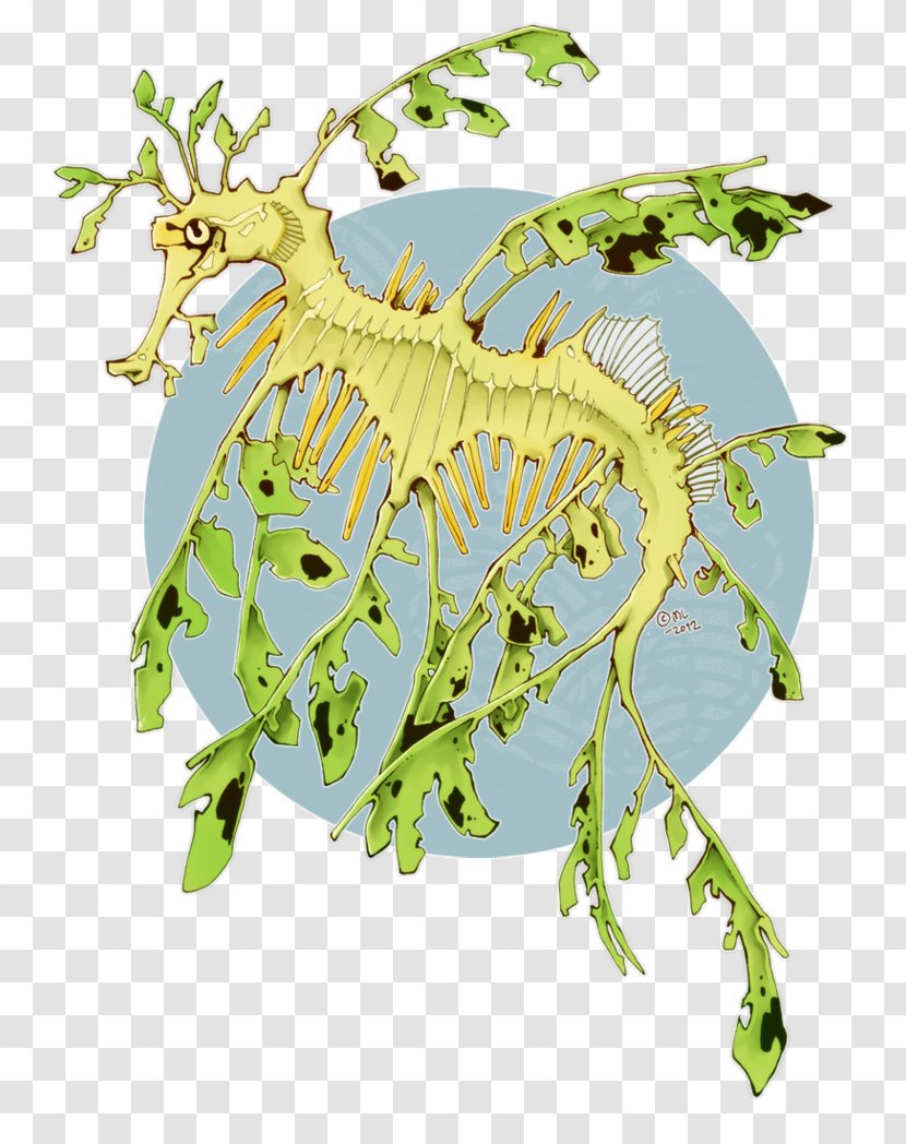 Syngnathidae Seahorse Leafy Seadragon Common Drawing - Deviantart Transparent PNG