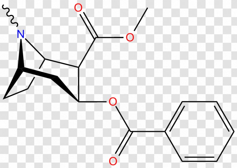 Erythroxylum Coca Alkaloid Tropane Serotonin Transporter - White - Structural Drawing Transparent PNG