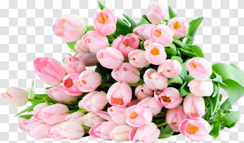 Flower Bouquet Tulip Android Cakes Online - Floristry - 8 March Transparent PNG