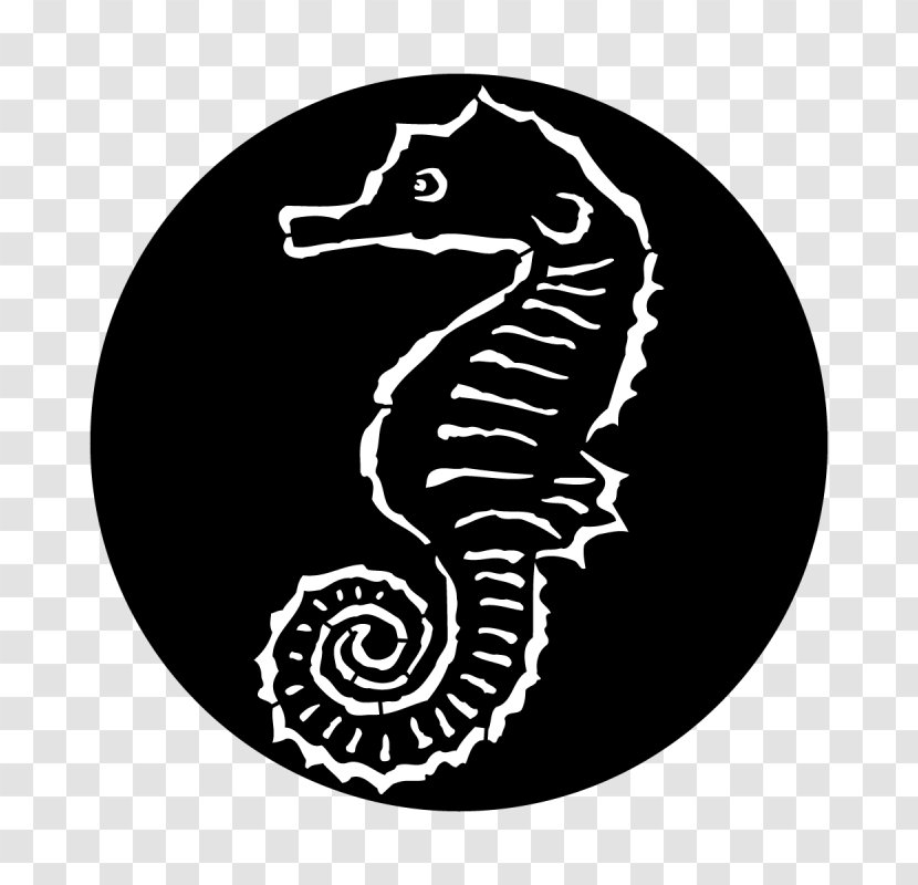 Seahorse Steel Theatrical Scenery Theatre - Organism Transparent PNG