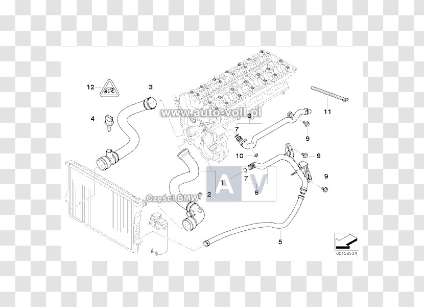 BMW 3 Series (E46) Car Internal Combustion Engine Cooling - Text - Bmw E46 Transparent PNG